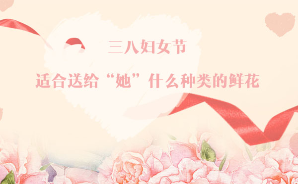 三八婦女節，適合送給“她”什么種類的鮮花？